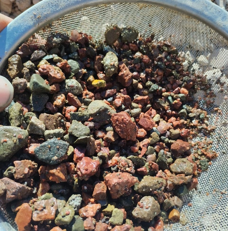 Detrito recuperado y tamizado en terreno / Drill cuttings recovered and sieved on site